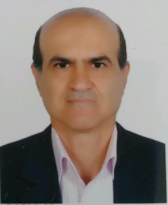 ناصر ابراهیمی