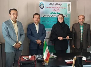 سولماز رزمی